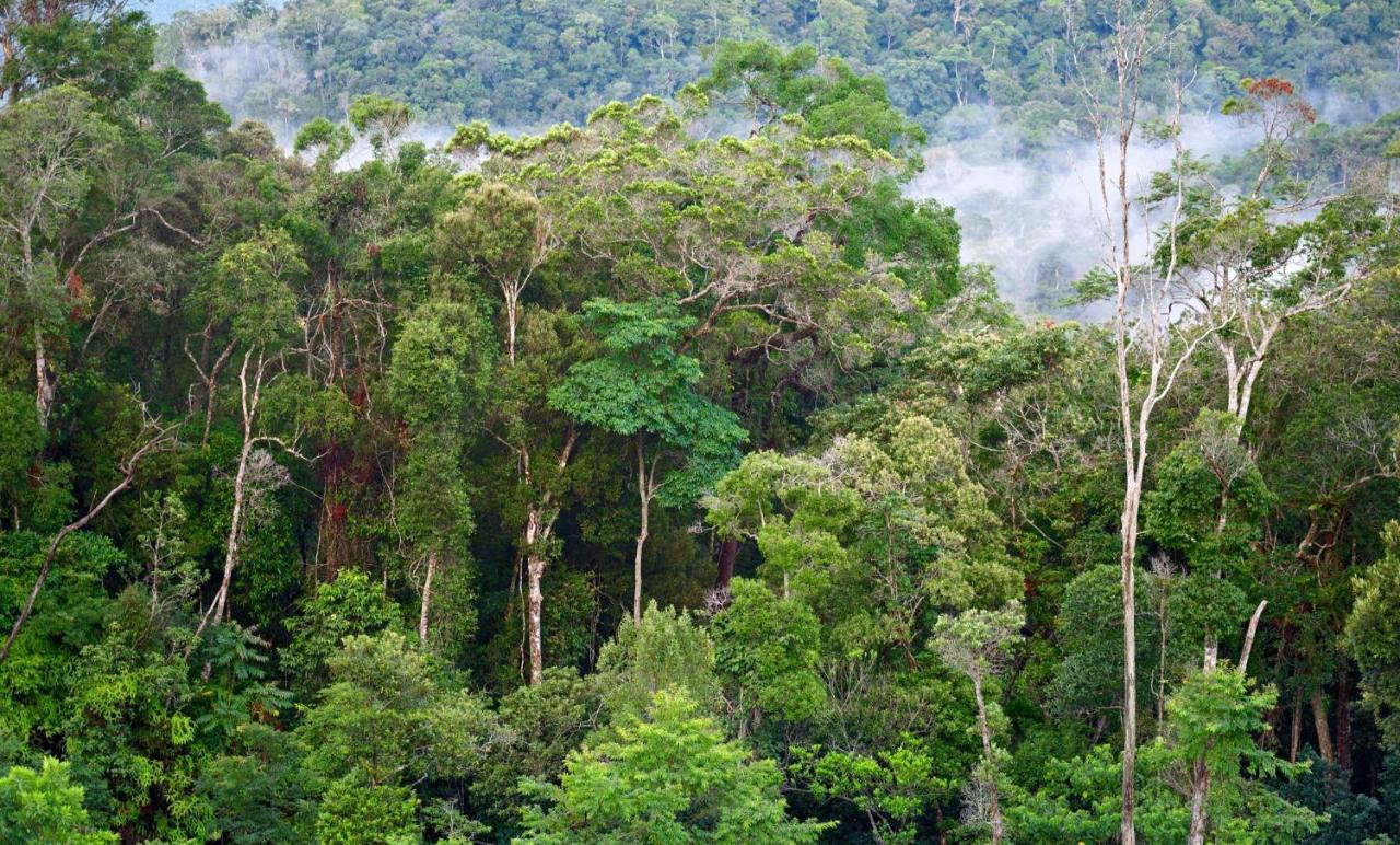 The Litchi Tree Amber Mountain Boutique Hotel Ambohitra ภายนอก รูปภาพ